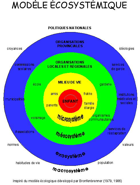 MODELE ECOSYSTEMIQUE: